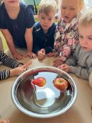 większy obrazek nr 18