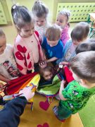 większy obrazek nr 12