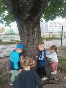 ilustracja do wpisu 
Mali Strażnicy Lasów -