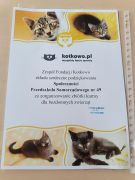 większy obrazek nr 4