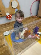 większy obrazek nr 6