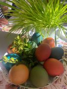 większy obrazek nr 70